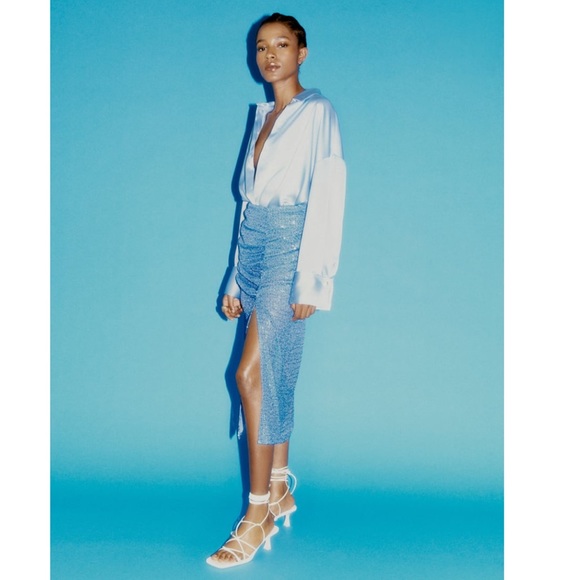 Zara sequin midi skirt - Picture 9 of 13